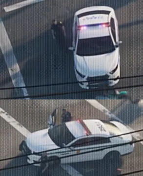 Police Interceptor SUV